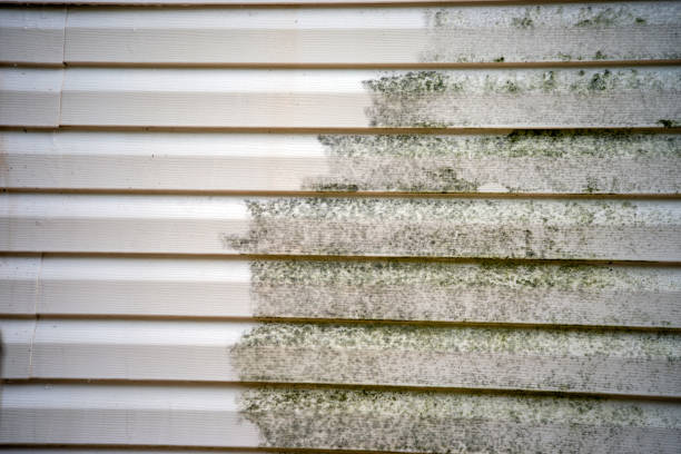 Best Property Management Cleanouts  in New Cumberland, WV