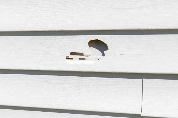 Trusted New Cumberland, WV Junk Removal Experts